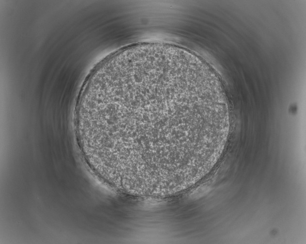 X0000116760848201001281610