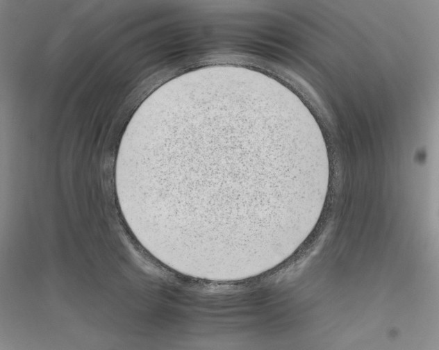 X0000116760849201001281610