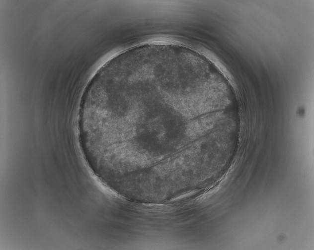 X0000116760853201001281610