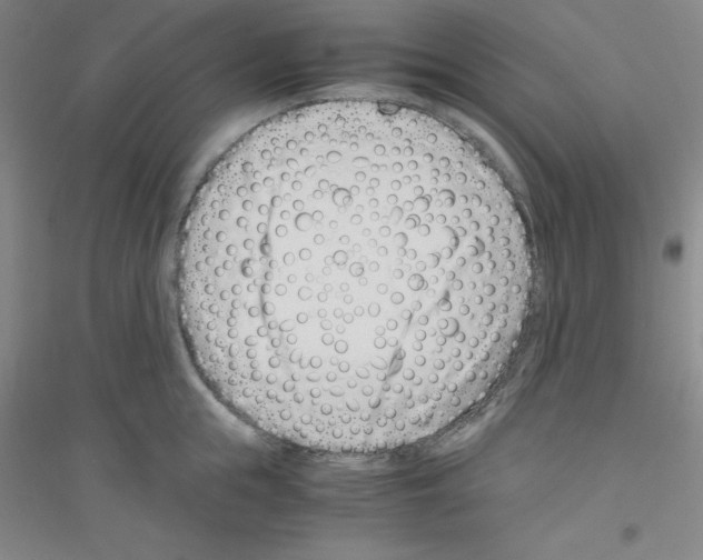 X0000116760855201001281610