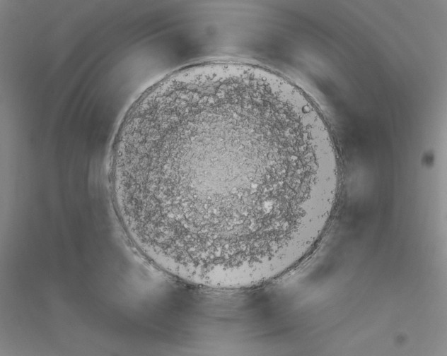 X0000116760856201001281610