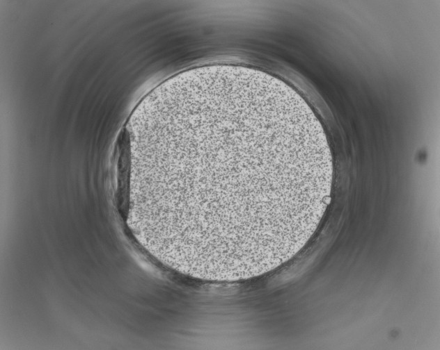 X0000116760858201001281610