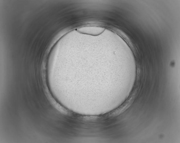 X0000116760859201001281610