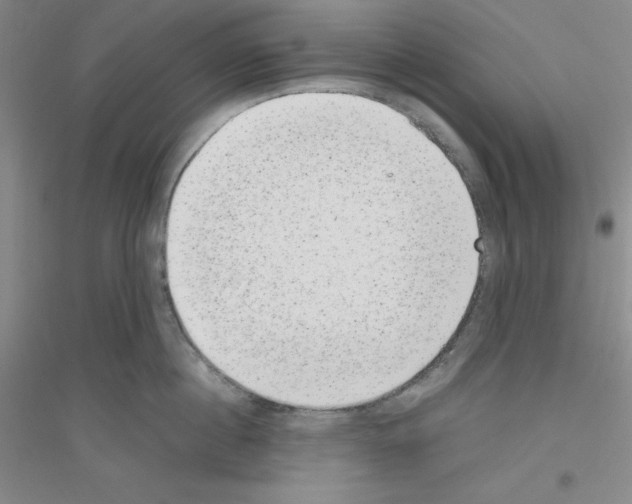 X0000116760860201001281610