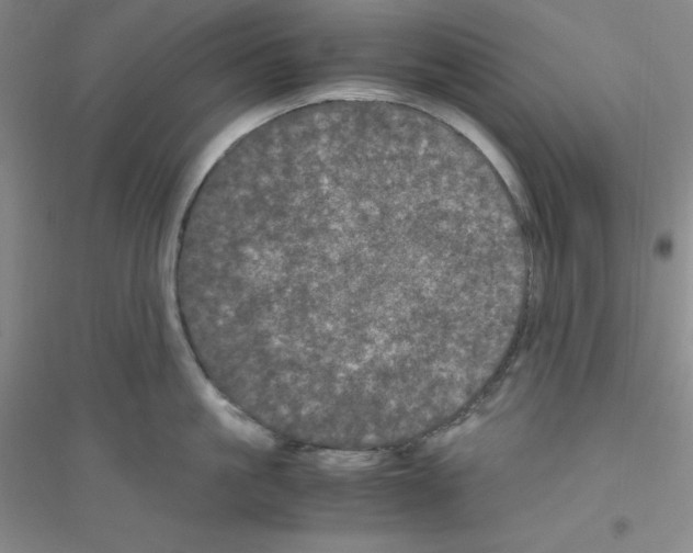 X0000116760861201001281610