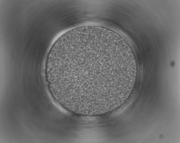 X0000116760862201001281610