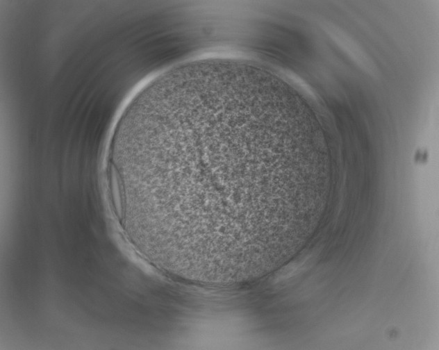 X0000116760864201001281610