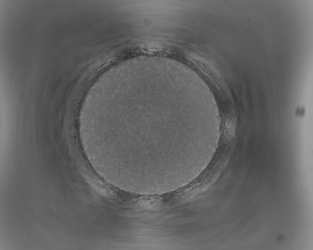 X0000116760865201001281610