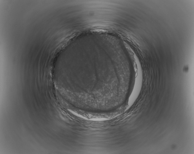 X0000116760868201001281610