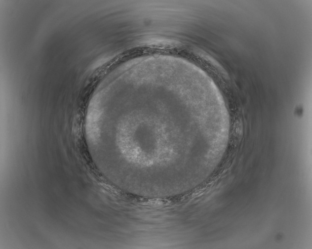 X0000116760869201001281610