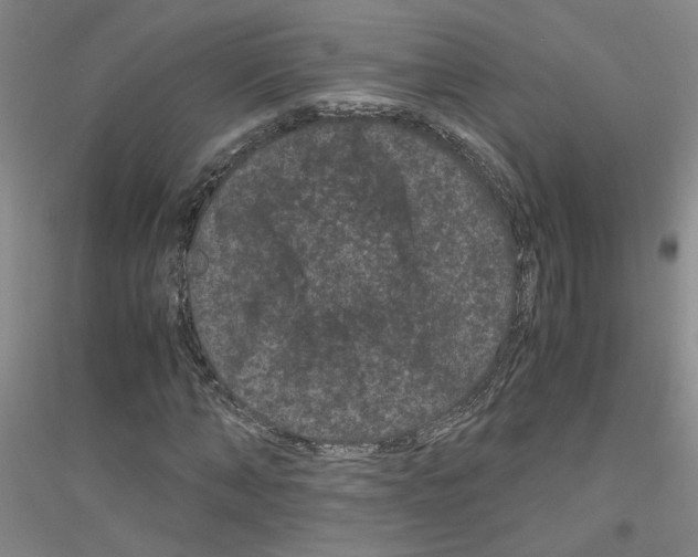 X0000116760870201001281610