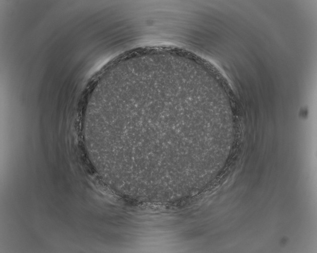 X0000116760871201001281610