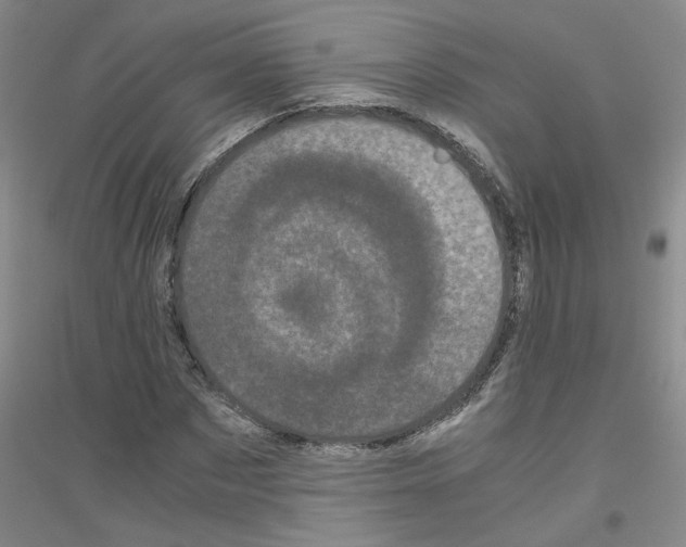 X0000116760873201001281610