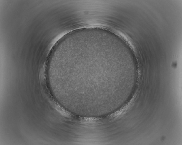 X0000116760875201001281610