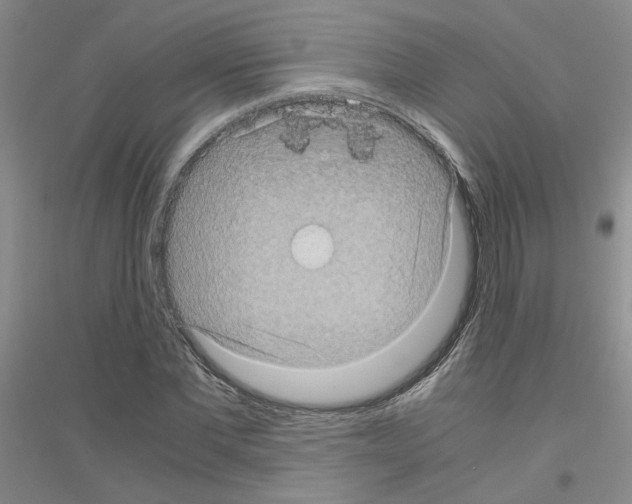 X0000116760877201001281610