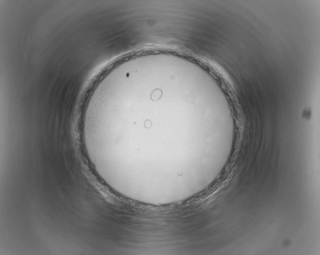 X0000116760878201001281609