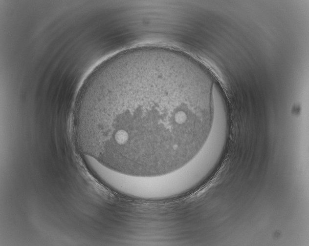 X0000116760880201001281609