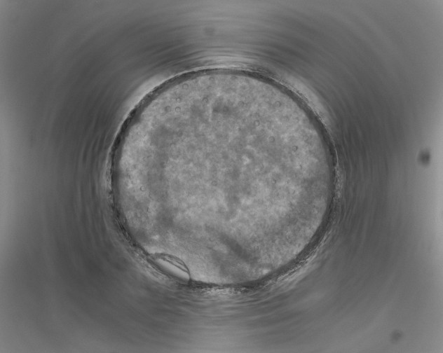 X0000116760883201001281609