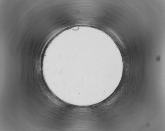 X0000116760884201001281609