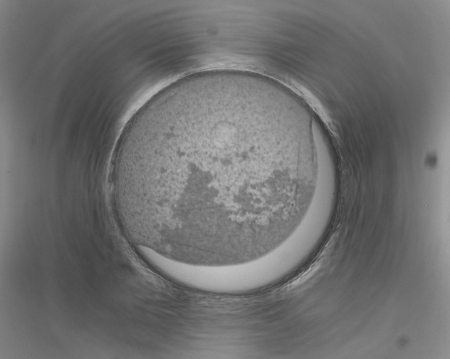 X0000116760885201001281609