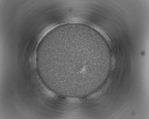 X0000116760886201001281609