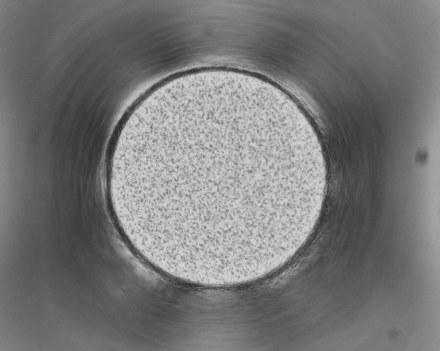 X0000116760888201001281609