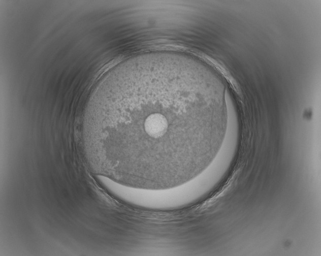 X0000116760889201001281609