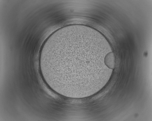 X0000116760890201001281609