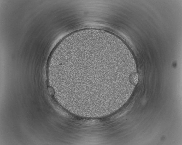 X0000116760891201001281609