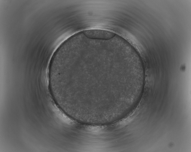 X0000116760892201001281609