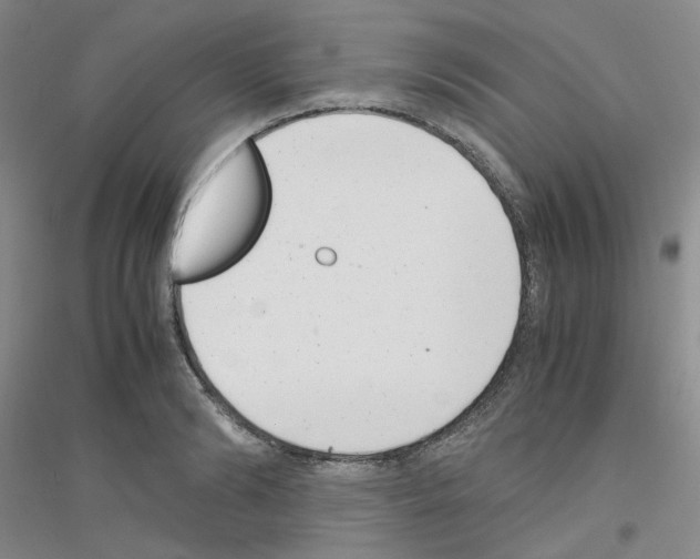 X0000116760894201001281609