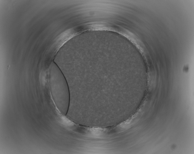 X0000116760897201001281609