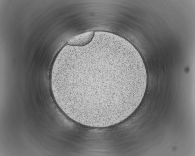 X0000116760898201001281609