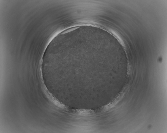 X0000116760899201001281609