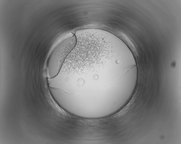 X0000116760900201001281609