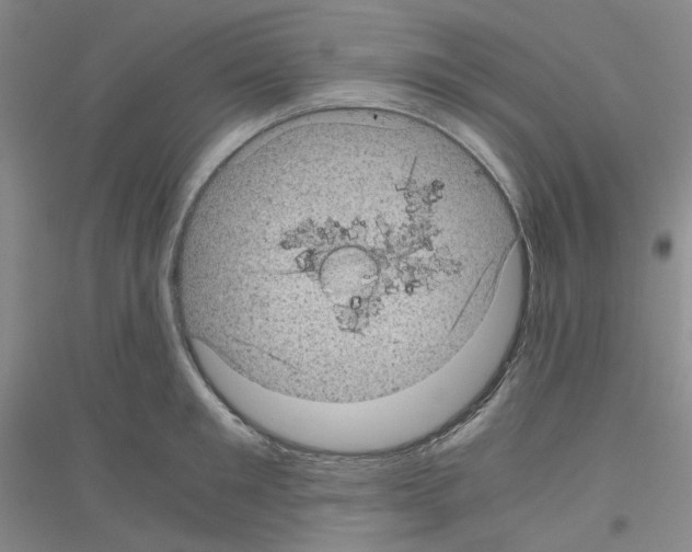 X0000116760901201001281609