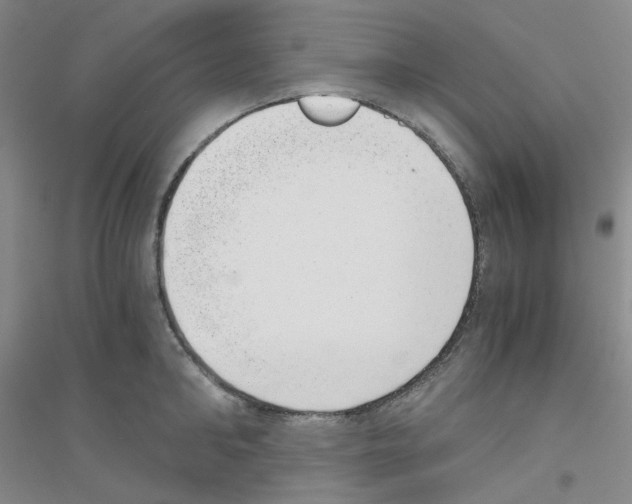 X0000116760902201001281609