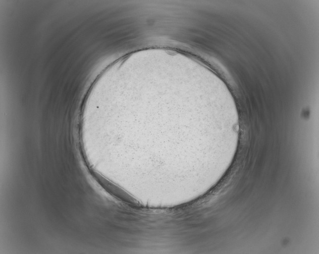 X0000116760903201001281609