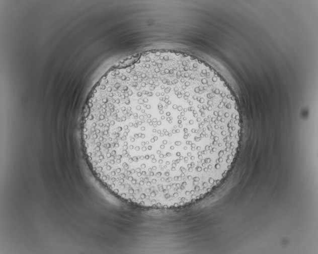 X0000116760906201001281609