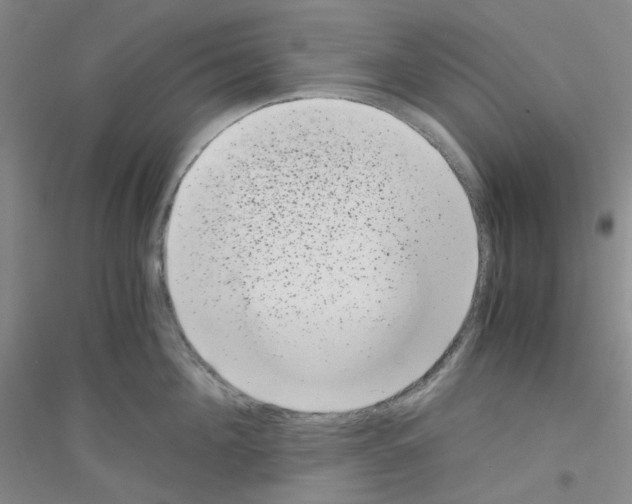 X0000116760908201001281609