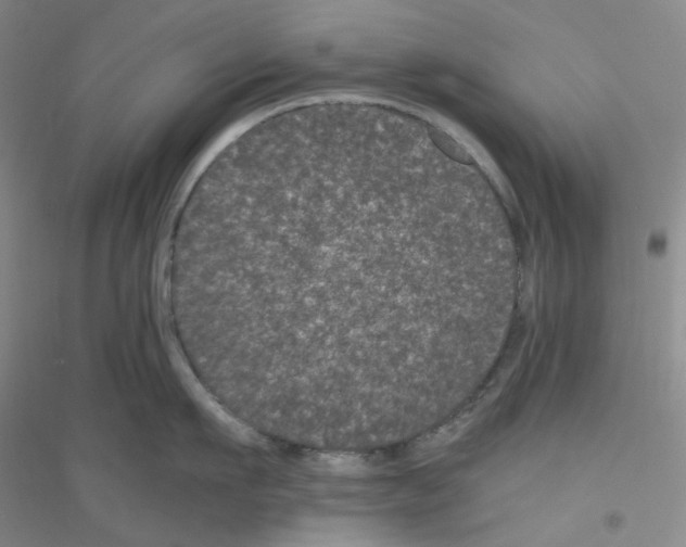 X0000116760911201001281609