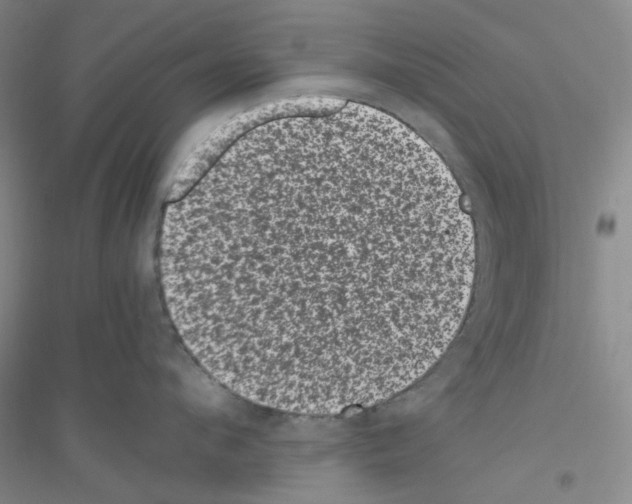 X0000116760912201001281609