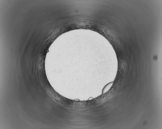 X0000116760914201001281608