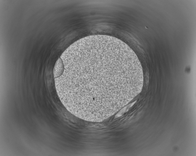 X0000116760915201001281608