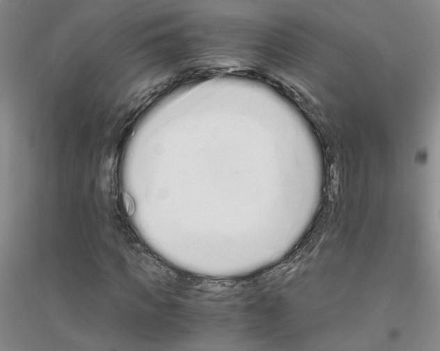 X0000116760917201001281608