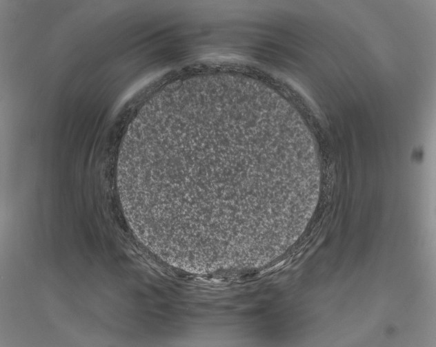 X0000116760919201001281608