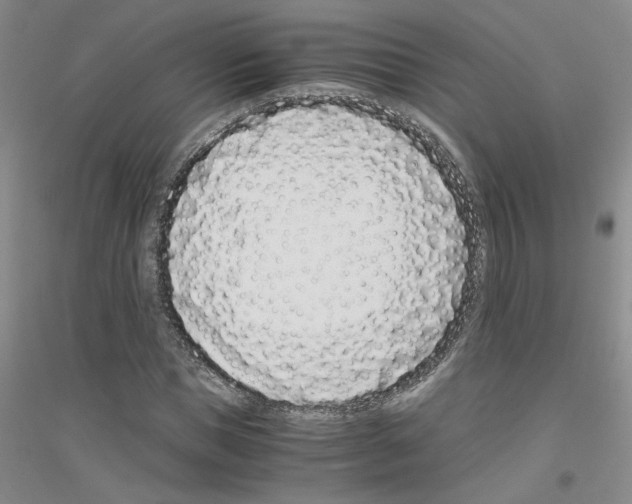 X0000116760921201001281608