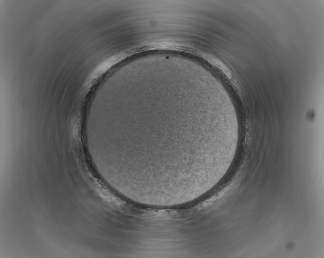 X0000116760922201001281608