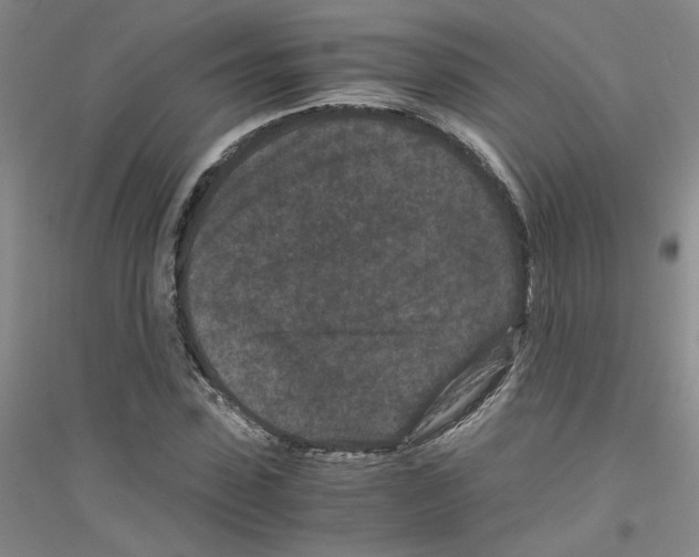 X0000116760923201001281609