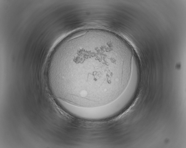 X0000116760925201001281609